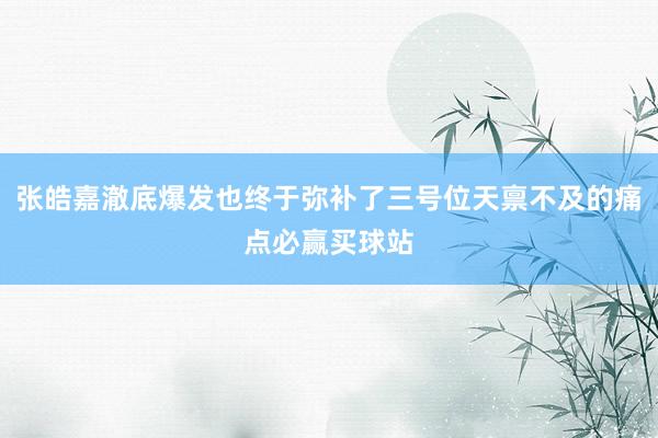 张皓嘉澈底爆发也终于弥补了三号位天禀不及的痛点必赢买球站