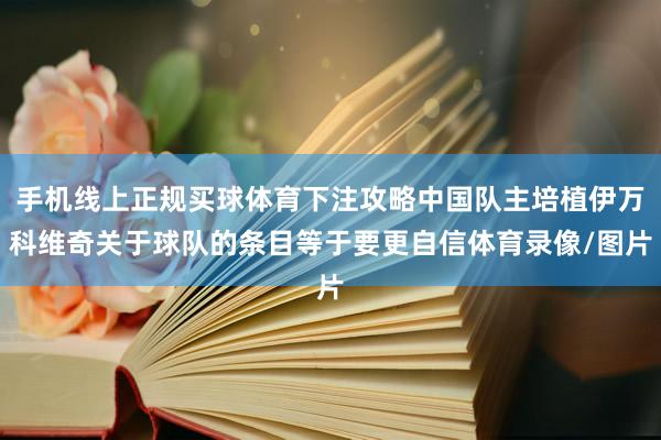 手机线上正规买球体育下注攻略中国队主培植伊万科维奇关于球队的条目等于要更自信体育录像/图片