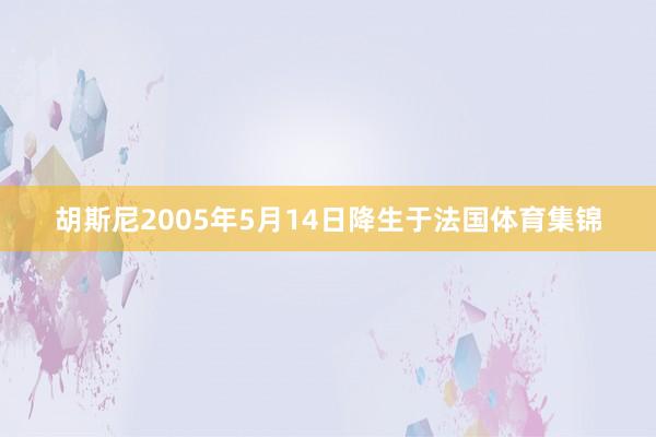 胡斯尼2005年5月14日降生于法国体育集锦