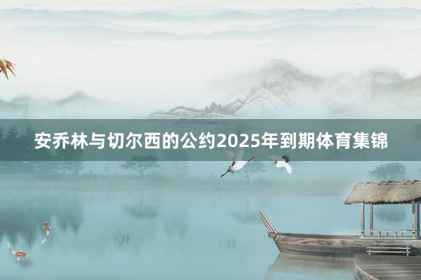 安乔林与切尔西的公约2025年到期体育集锦