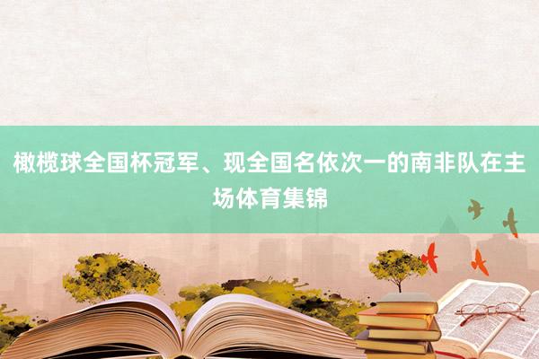 橄榄球全国杯冠军、现全国名依次一的南非队在主场体育集锦