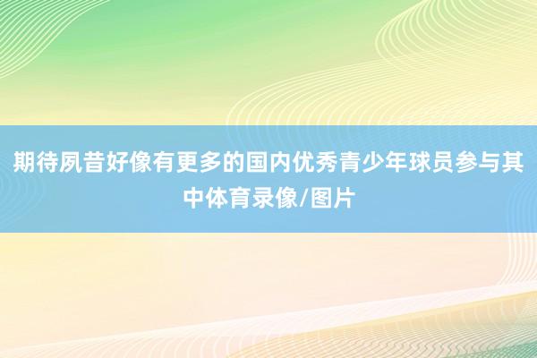 期待夙昔好像有更多的国内优秀青少年球员参与其中体育录像/图片